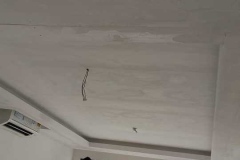 IMG-20250315-WA0009